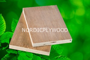 Poplar plywood